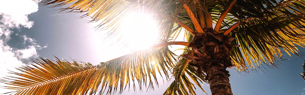 5 ways to protect your laptop during tropical travel