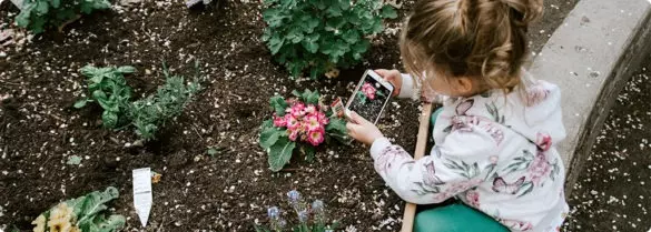 Get your garden tools ready for the summer