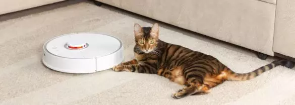 Taking care of a cordless vacuum cleaner
